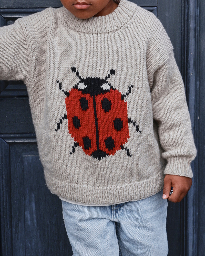 Ladybug Sweater