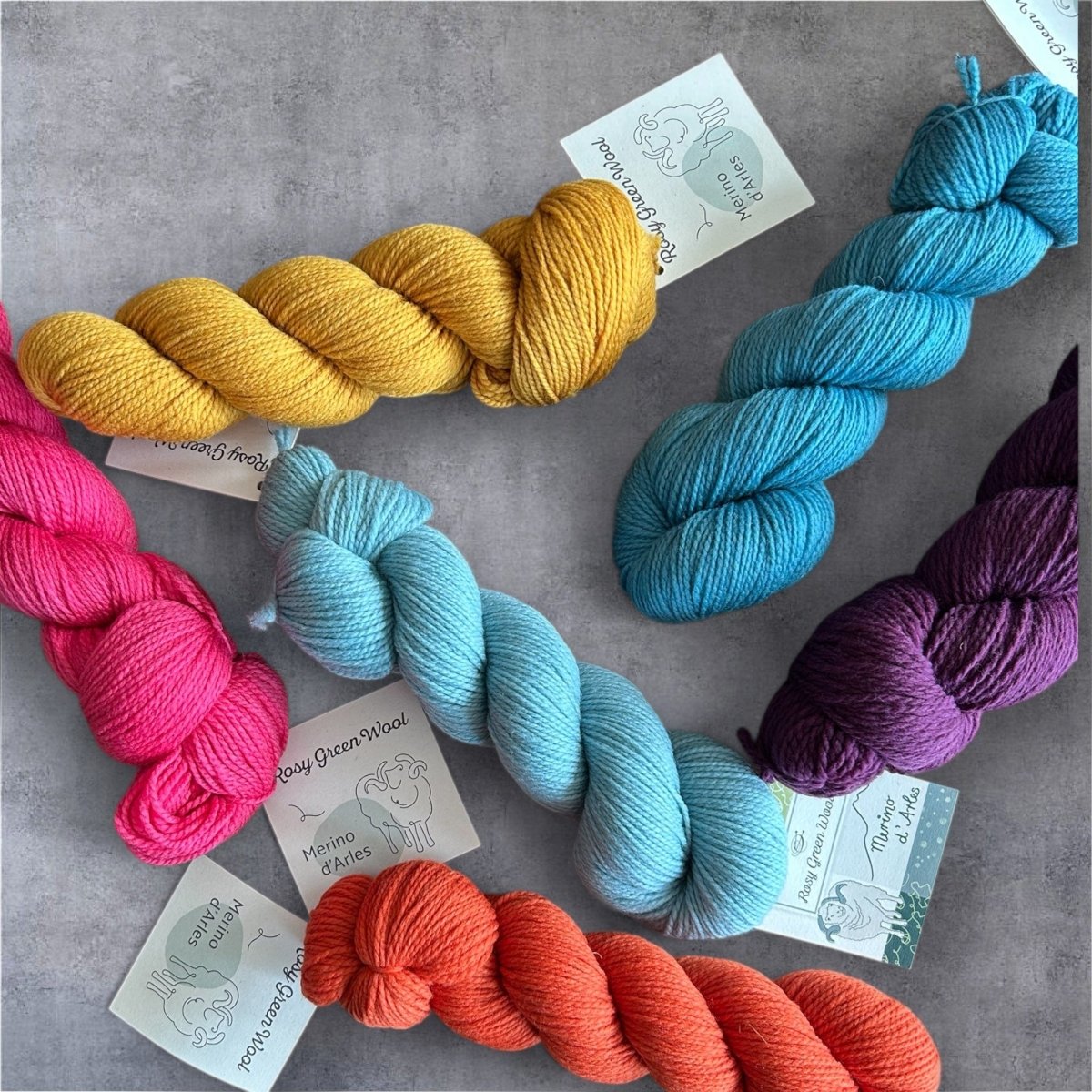 Rosy Green Merino d´Arles - BONIFAKTUR - 300 Brebis - Rosy Green Wool Rosy Green Merino d´Arles