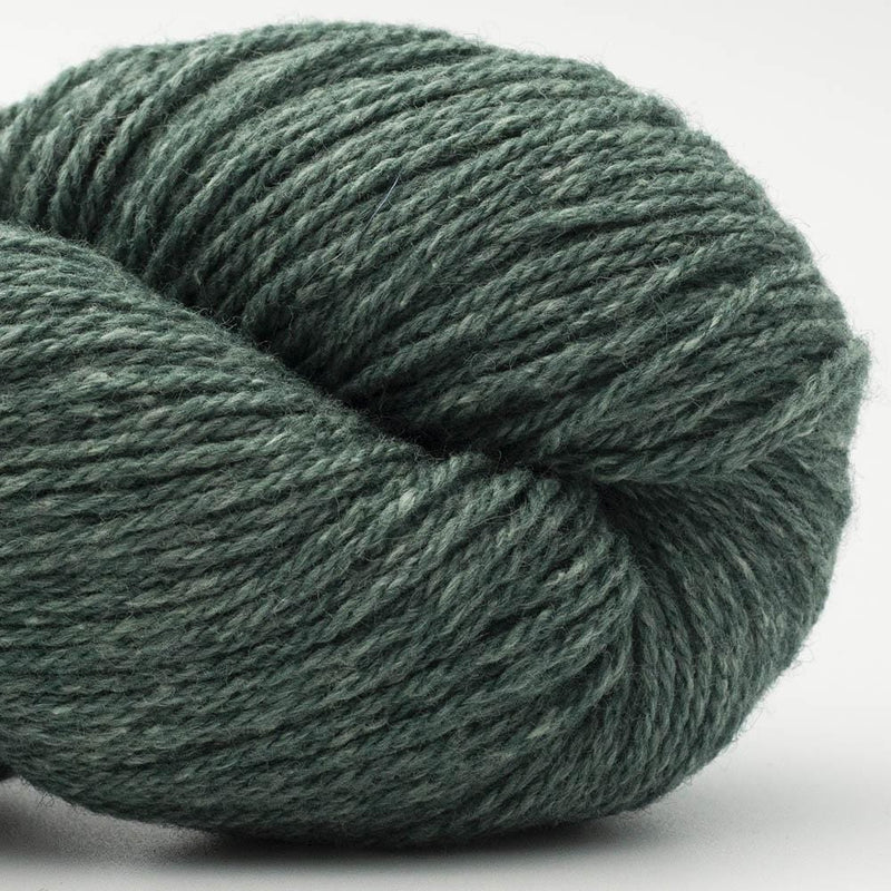 BC Garn Bio Balance (GOTS) - BONIFAKTUR - 05 Blautanne - BC Garn BC Garn Bio Balance (GOTS) 05 Blautanne